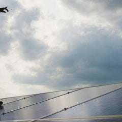 Here are a Few Ways to Make Your Solar Installation Absolutely Safe & Secure