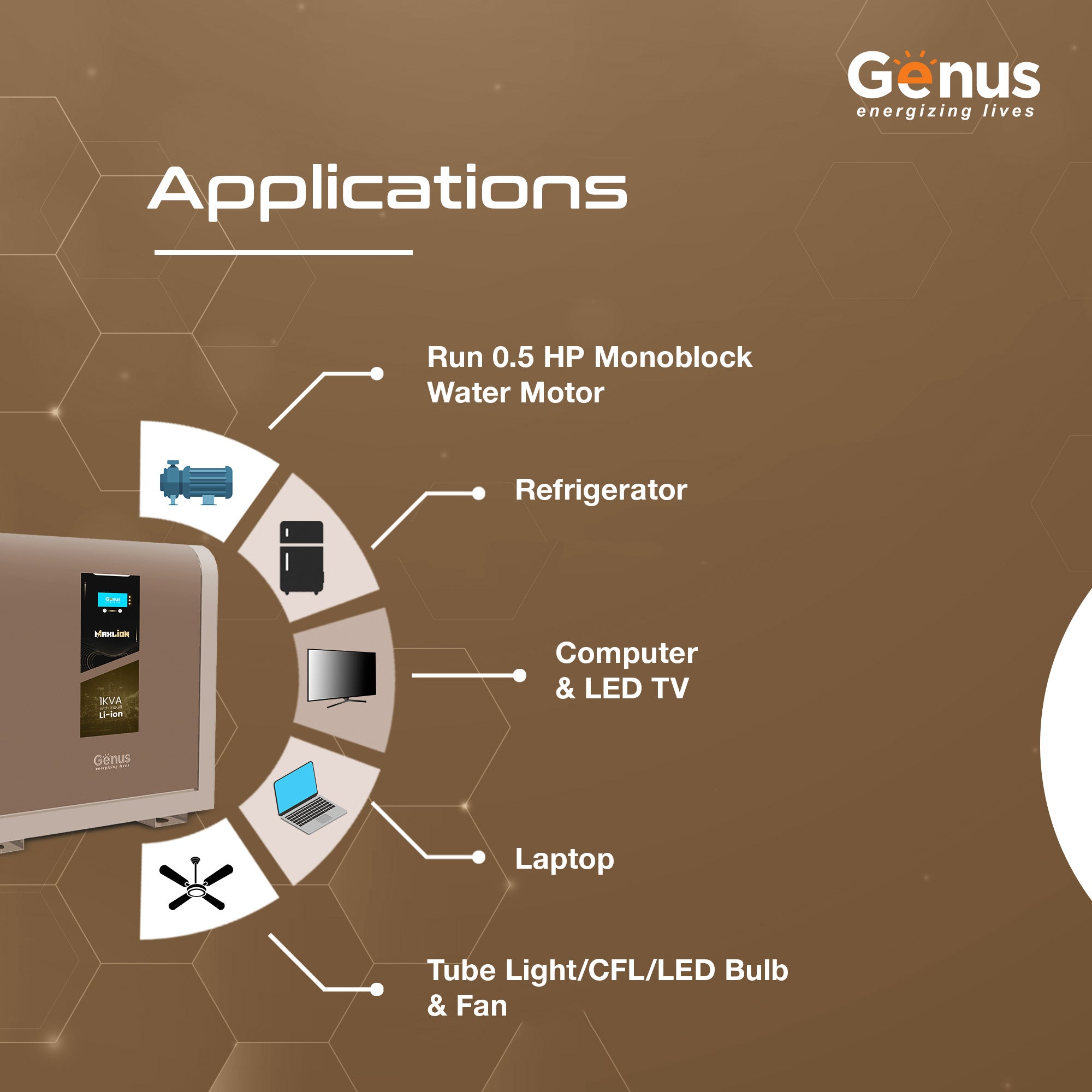 Genus MaxiLion 1000 VA Pure Sine Wave Inverter with Integrated 1280 Wa ...