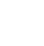 Feature Icon 5