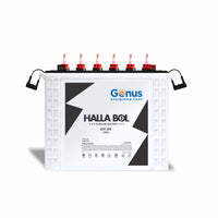 Genus Hallabol GTT250 220 AH Tall Tubular Battery