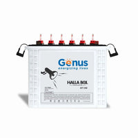 Genus Hallabol GTT240 150 AH Tall Tubular Battery